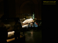 2013-01-17_W_Muzeum_Archeologicznym_[08].jpg